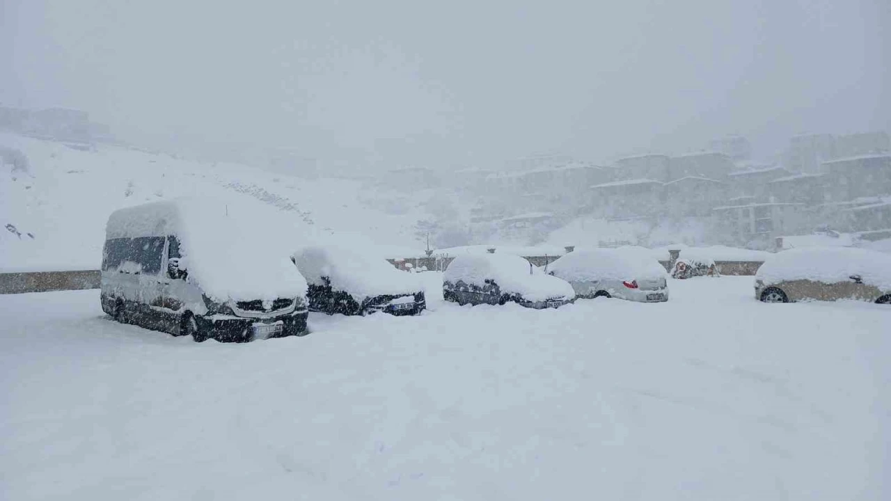 Kulp&rsquo;ta 10 yılın en yoğun kar yağışı: Ara&ccedil;lar kar altında kaldı
