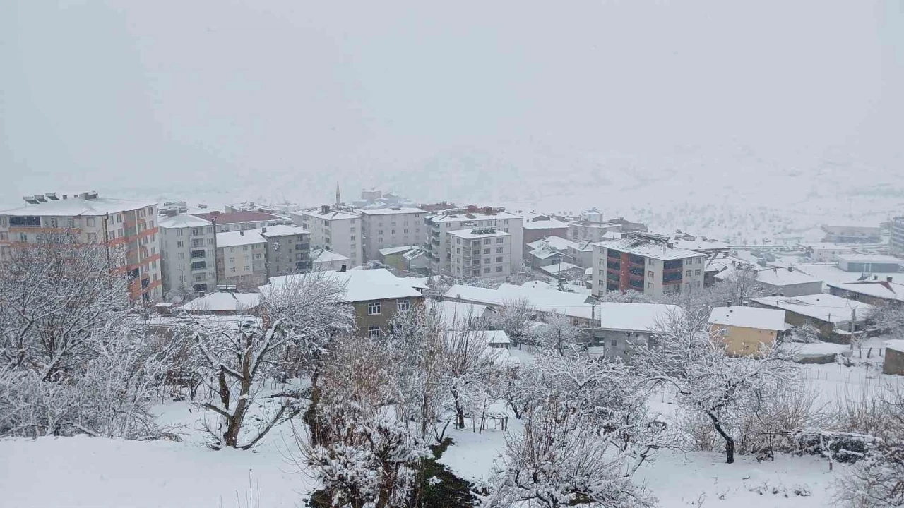 Kulp&rsquo;ta kar esareti: K&ouml;y yolları kapandı, il&ccedil;e trafiği kilitlendi
