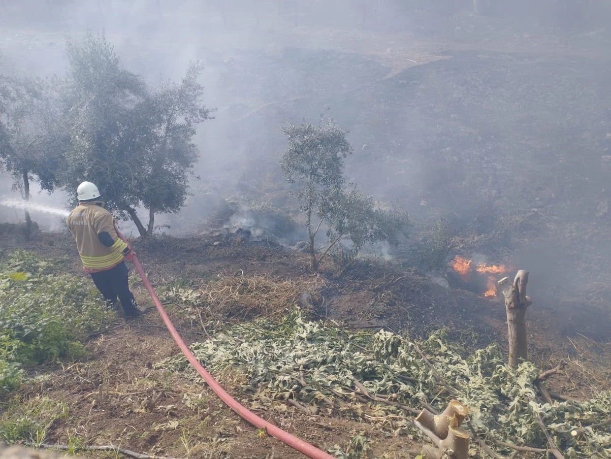 Kumlu’da bahçe yangını
