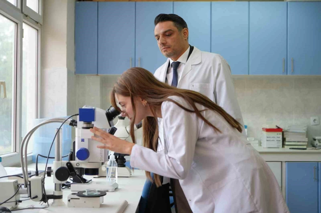 Kuraklığın ardından sinek istilası başladı
