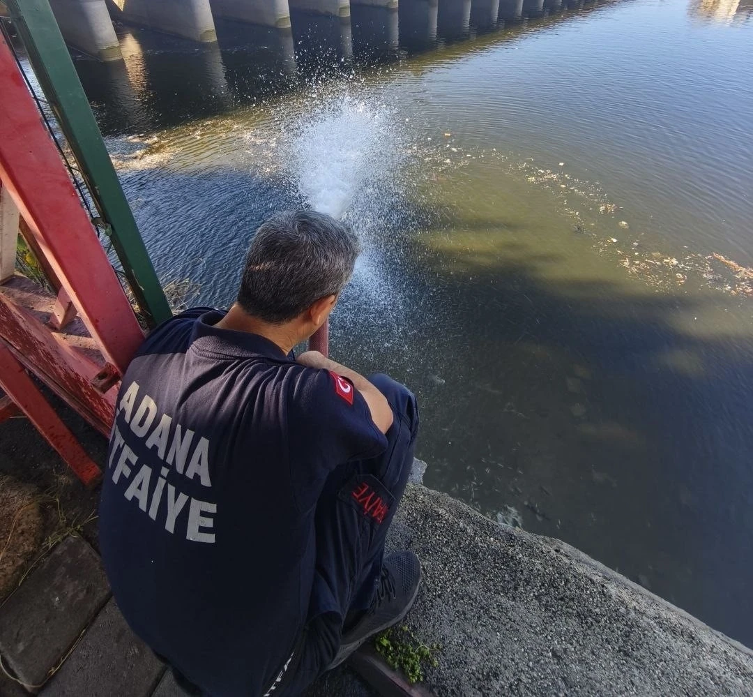 Kuraklık balıkları vurdu
