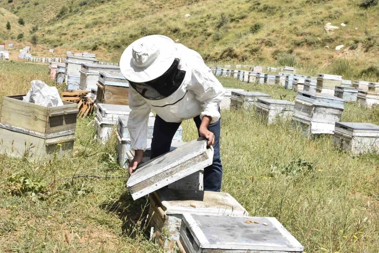 Kuraklık Bitlisli arıcıları kara kara düşündürüyor
