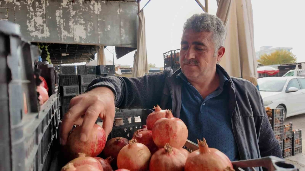 Kuraklık Zivzik narında verimi yarı yarıya düşürdü
