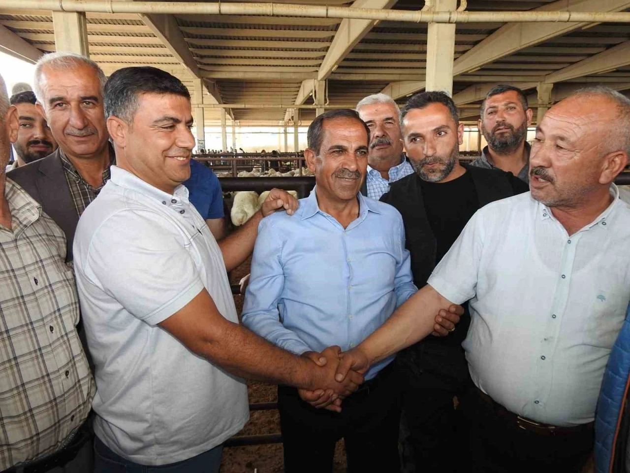 Kurban Bayramı öncesi hayvan pazarları hareketlendi
