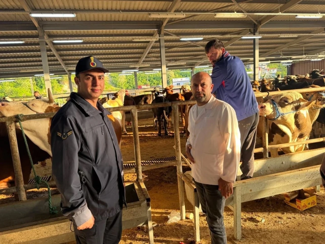 Kurban Bayramı öncesi hayvan pazarlarına denetim

