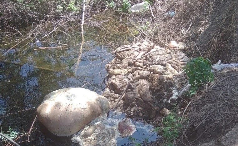 Kurban Bayramı sonrası çevre duyarsızlığına tepki

