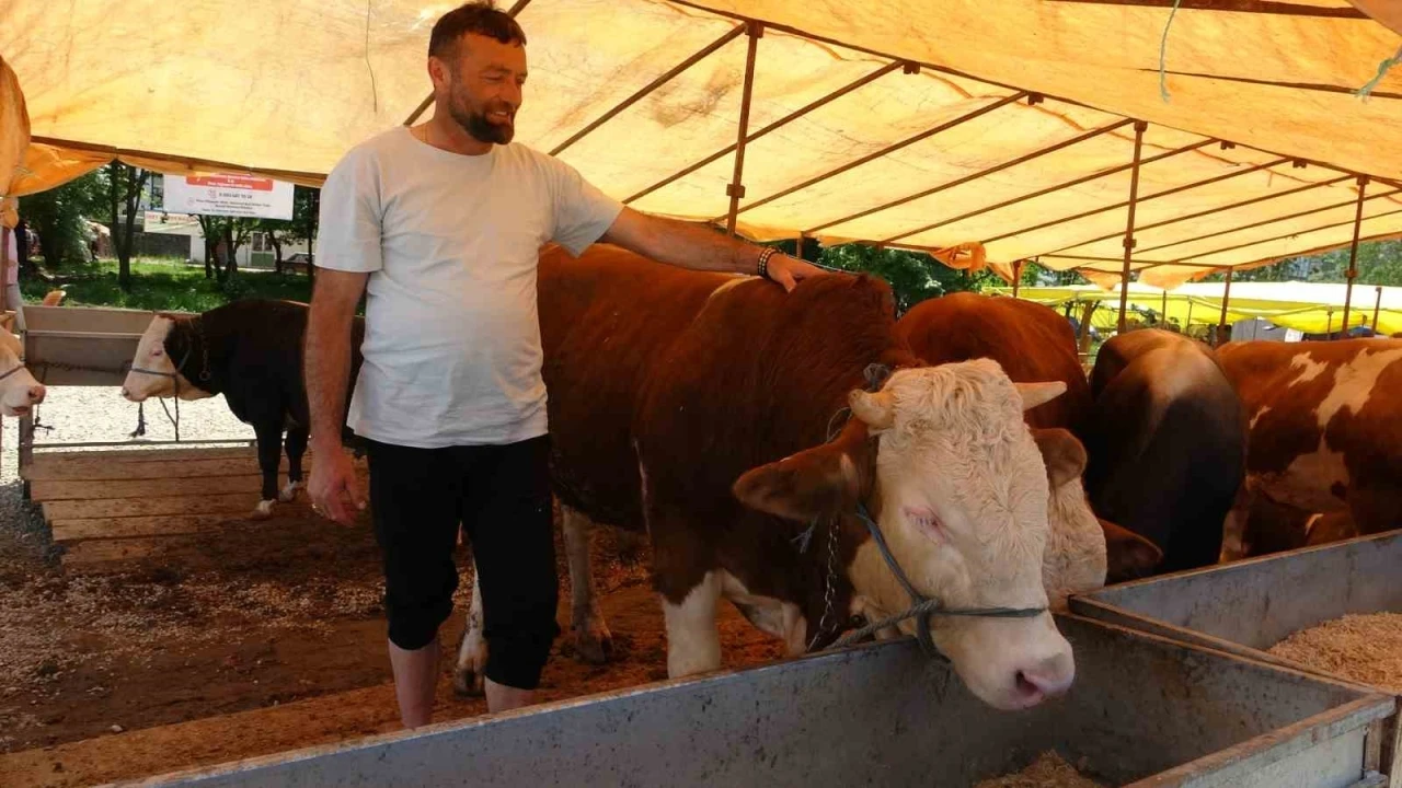 Kurban satıcıları, yurtdışı bağışlardan ve marketlerden şikayetçi
