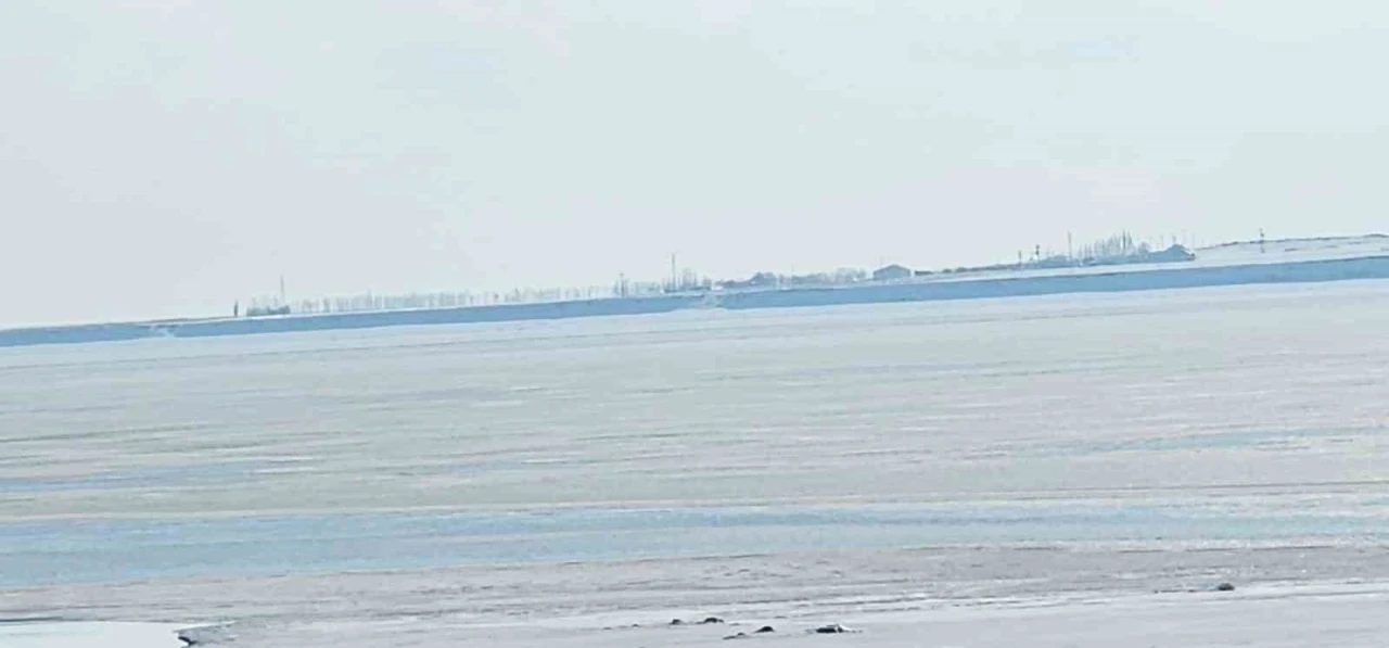 Kuş cenneti Arin G&ouml;l&uuml; kısmen dondu
