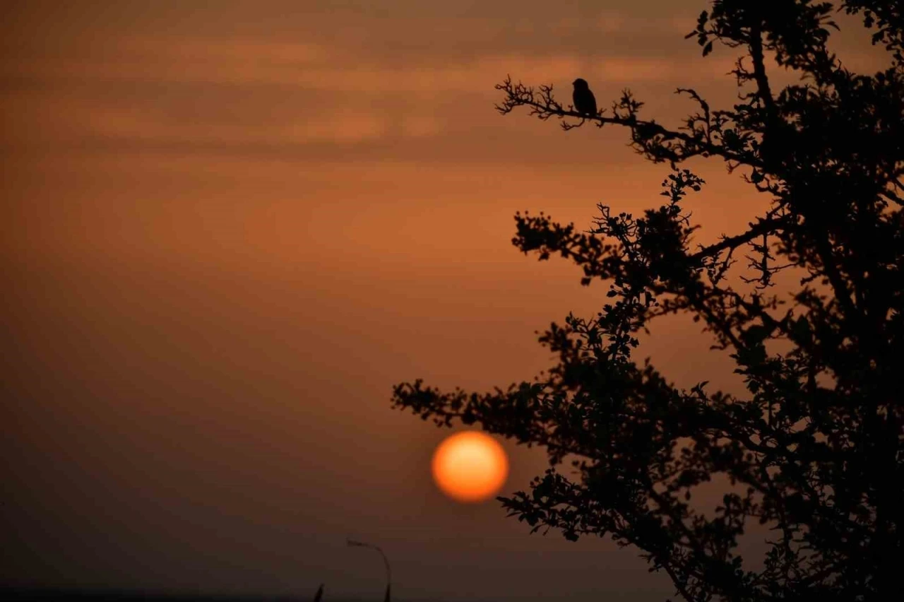 Kuş Cenneti’nde sonbahar
