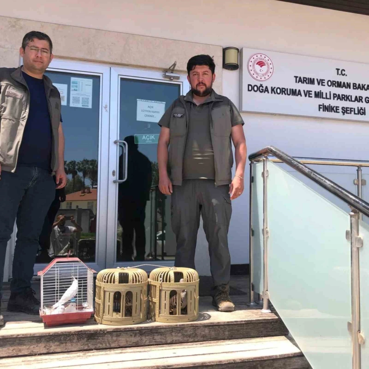 Kuş denetiminde kafeslerdeki keklik ve papağanlara el konuld