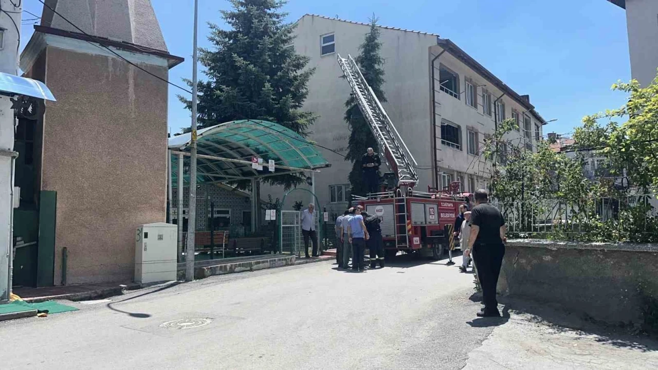 K&uuml;tahya&rsquo;da ağaca takılan ser&ccedil;e itfaiye ekiplerince kurtarıldı
