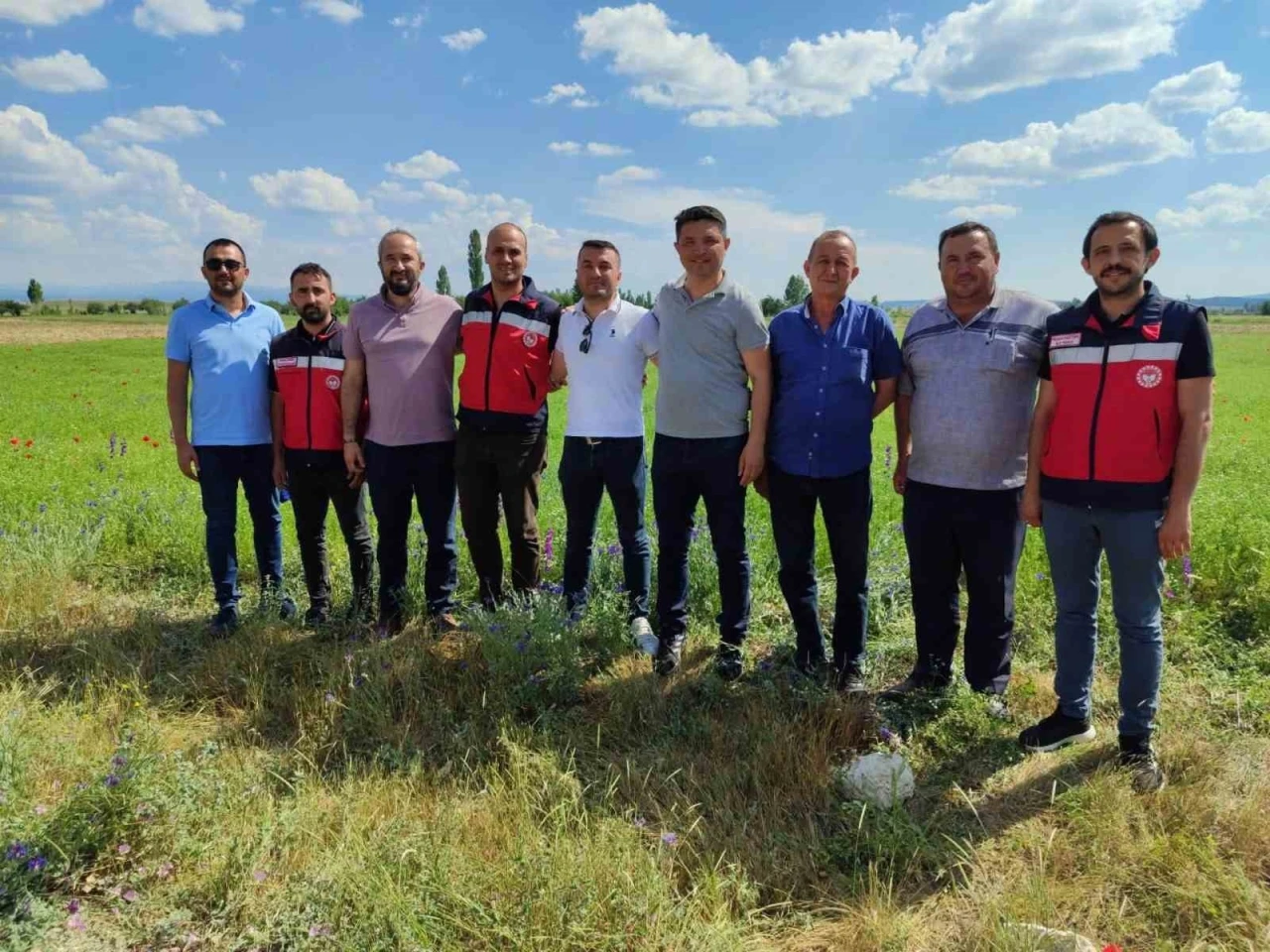 K&uuml;tahya&rsquo;da &ccedil;&ouml;rek otu &uuml;retimi yakından takip ediliyor
