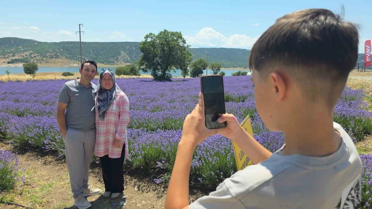 K&uuml;tahya&rsquo;da lavanta bah&ccedil;esi kapılarını ziyaret&ccedil;ilere a&ccedil;tı
