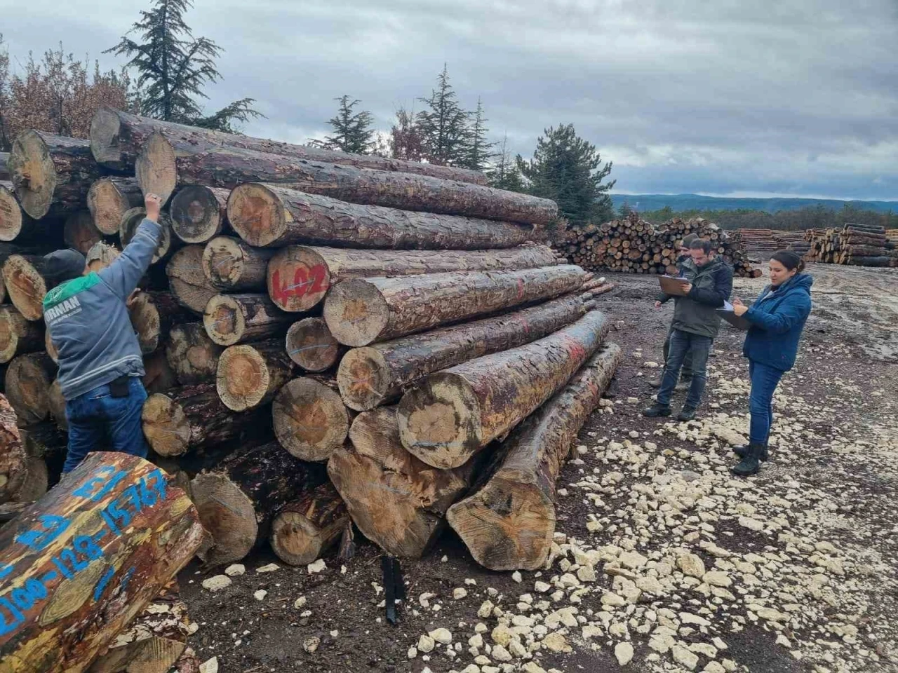 Kütahya’da orman emvallerinin yıl sonu sayımları yapıldı