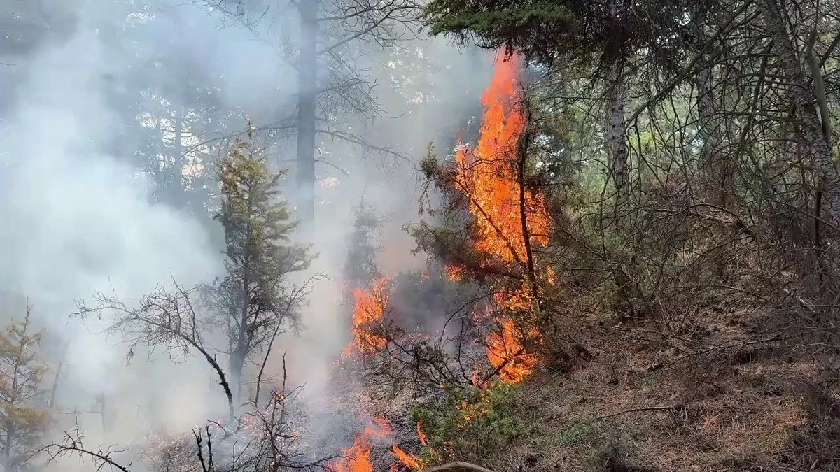 K&uuml;tahya&rsquo;da orman yangını, ekipler alevlere m&uuml;dahale ediyor
