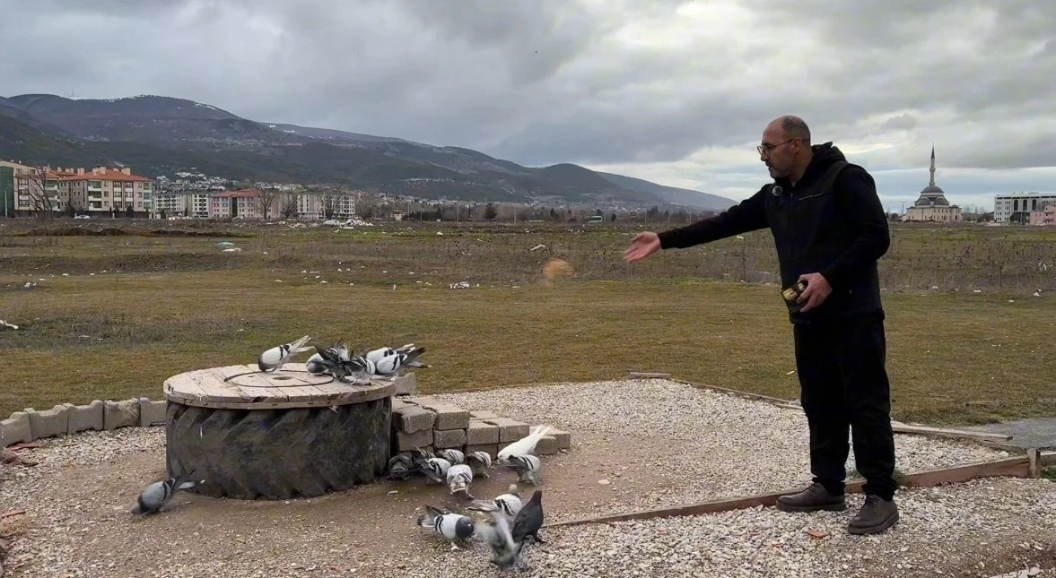 K&uuml;tahya&rsquo;nın g&uuml;vercin sevdalıları
