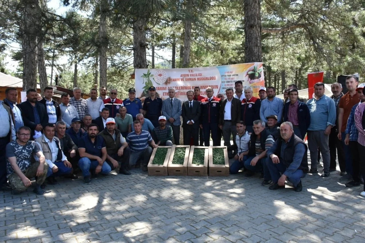 Kuyucak’ta 220 bin domates fidesi dağıtıldı
