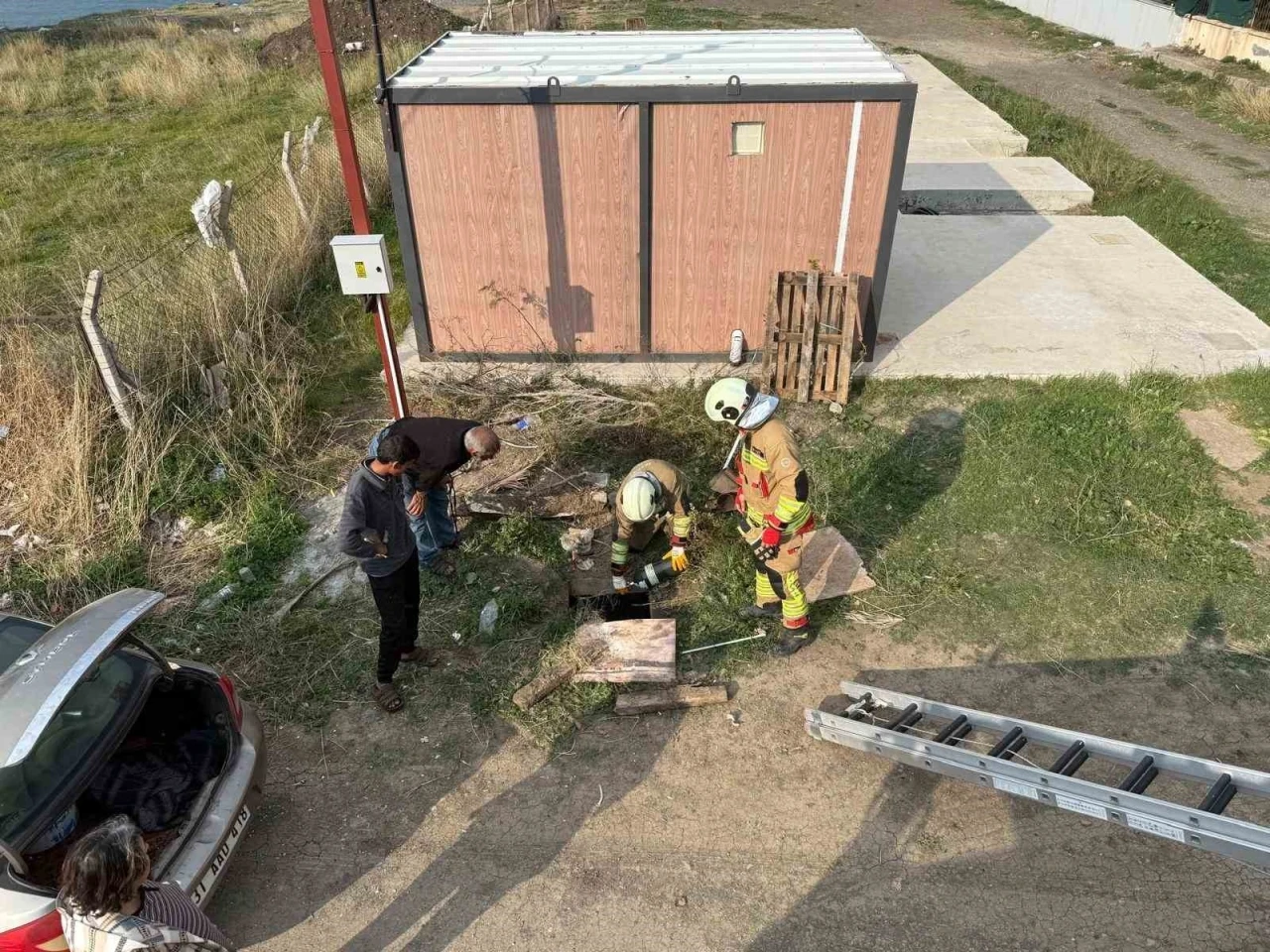 Kuyuya d&uuml;şen koyunu itfaiye kurtardı
