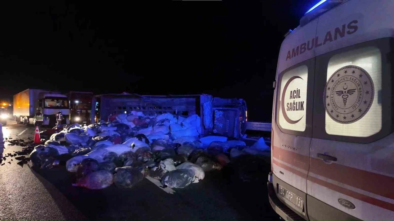 Kuzey Marmara Otoyolu&rsquo;nda  kamyonet devrildi: 2 yaralı
