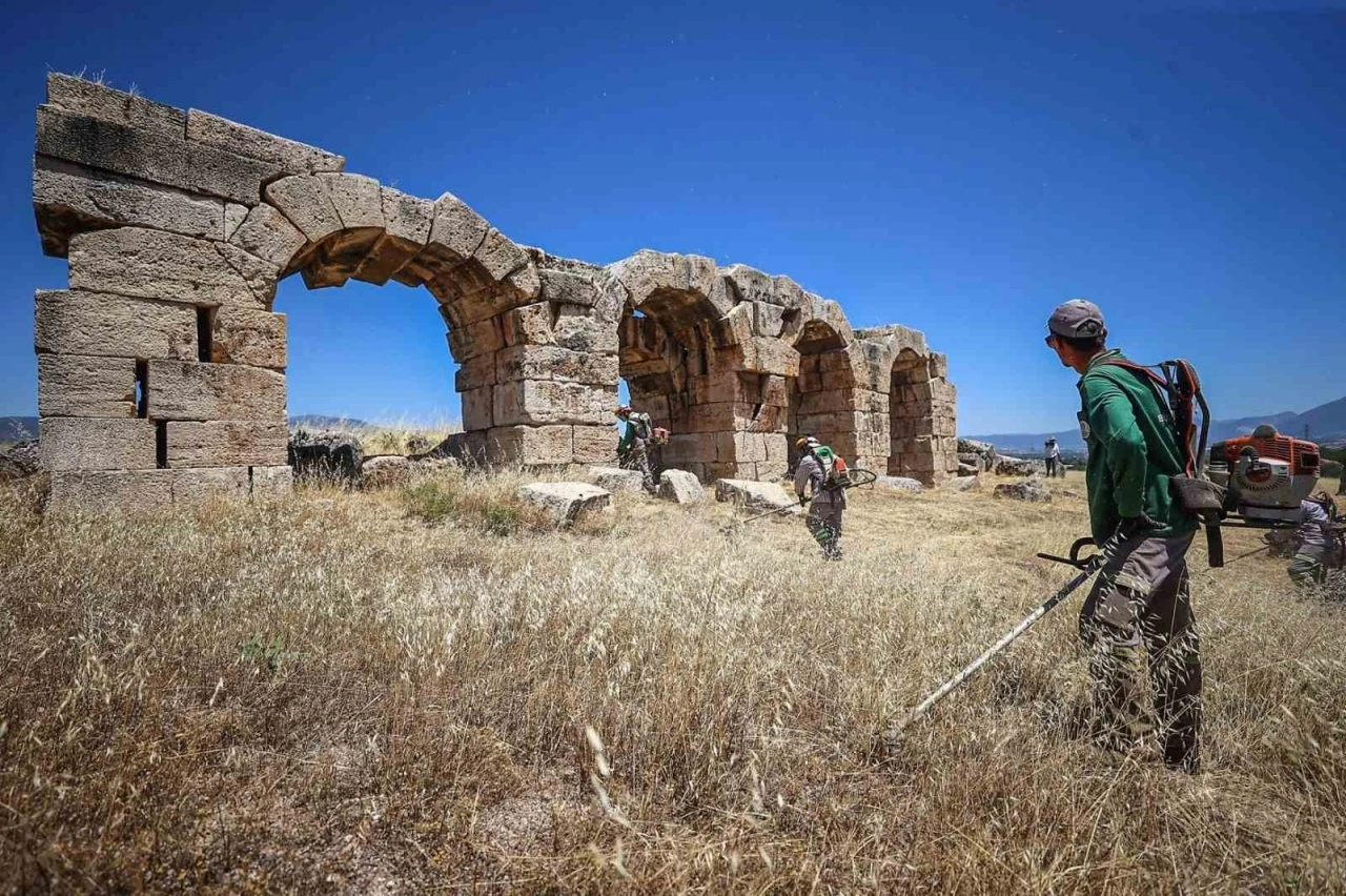 Laodikya yangın riskine karşı otlardan temizledi
