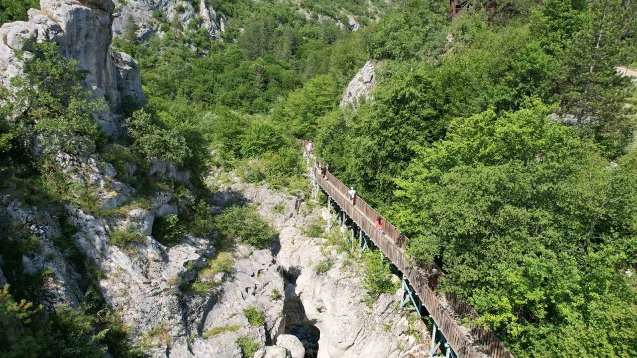 Lübnan merkezli seyahat acentelerinden Kastamonu çıkarması
