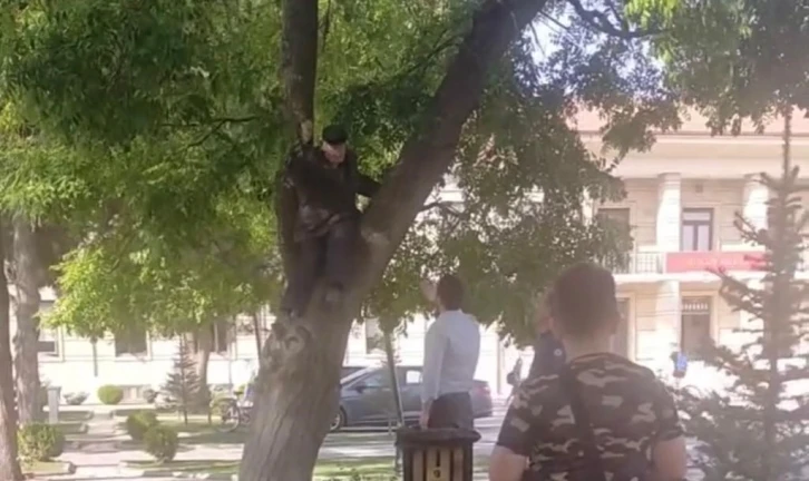 Maaşını alamayan vatandaş valilik önünde ağaca çıktı
