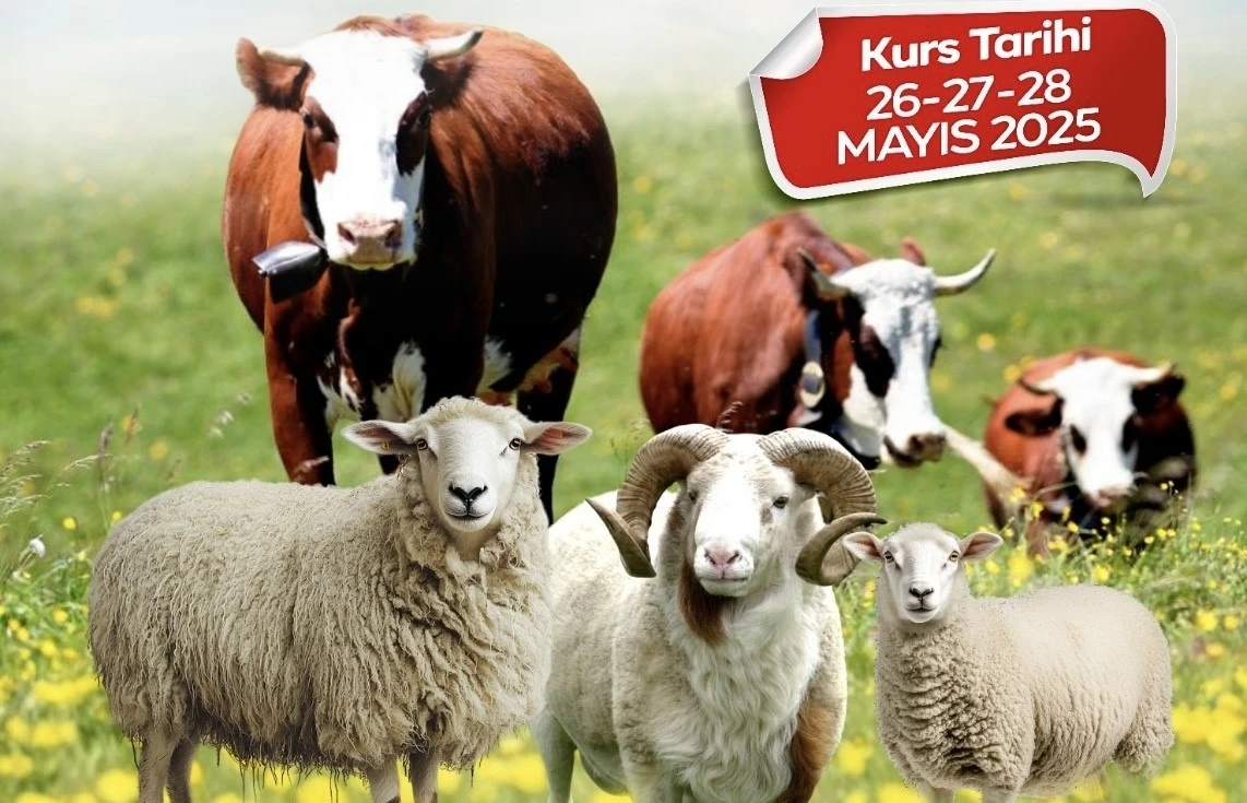 Malatya Büyükşehir Belediyesi’nden kurban kesim kursu
