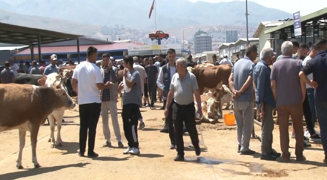 Malatya Canlı Hayvan Pazarı’nda bayram yoğunluğu
