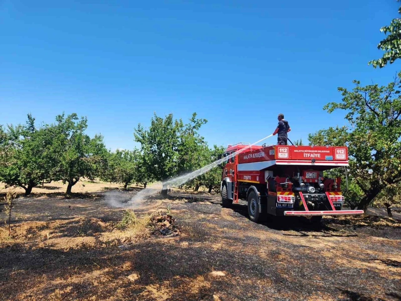 Malatya&rsquo;da bah&ccedil;e ve orman yangını
