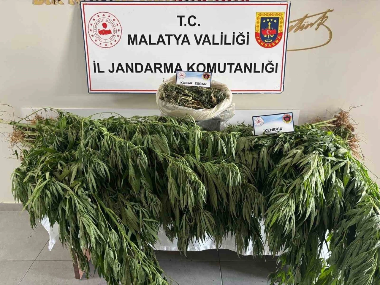 Malatya’da jandarmadan uyuşturucu operasyonu

