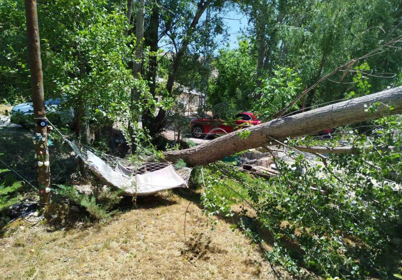 Malatya’da şiddetli fırtına ağaçları devirdi
