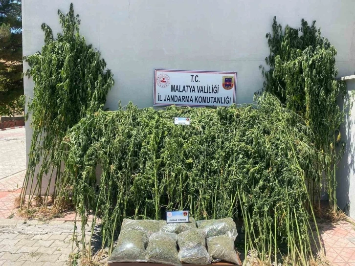 Malatya’da uyuşturucu operasyonu