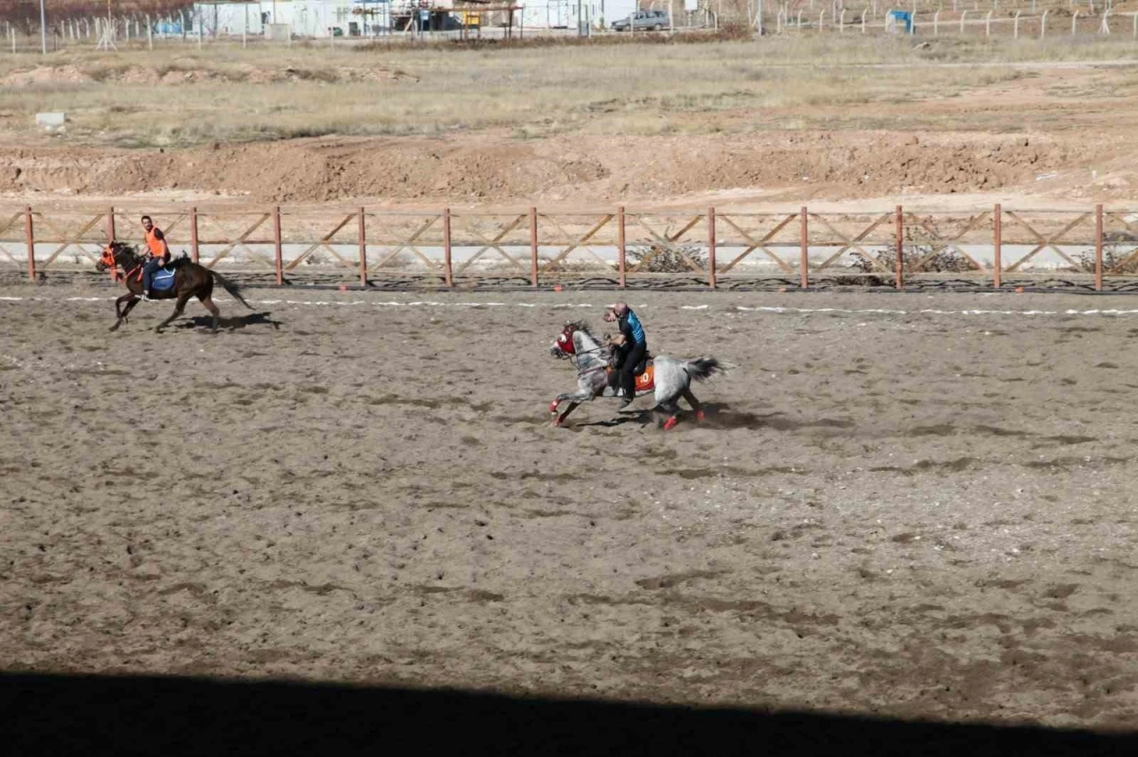 Malatya&rsquo;nın Yazıhan il&ccedil;esinde ata sporu atlı cirit yaşatılıyor
