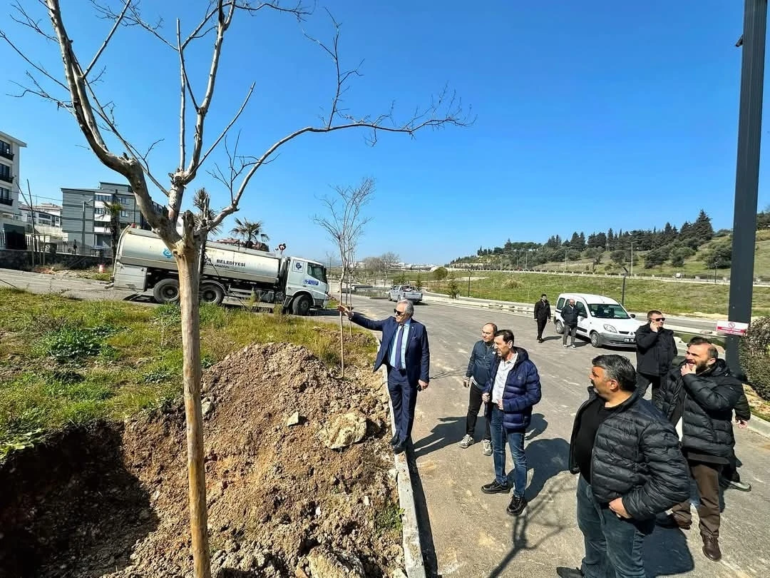 Malta Deresi’nde yenileme çalışmaları başladı