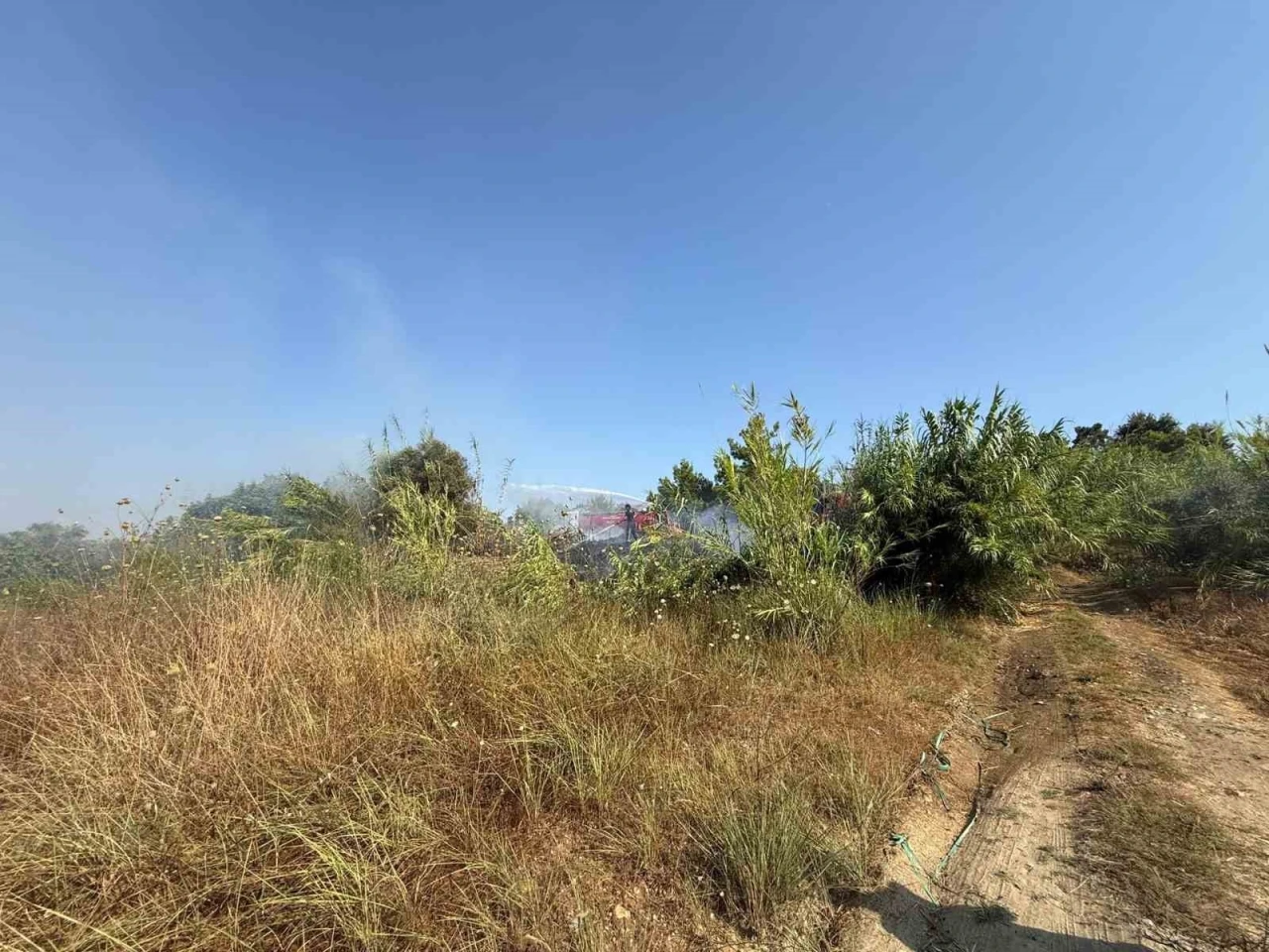 Manavgat&rsquo;ta kamışlık alanda &ccedil;ıkan yangın s&ouml;nd&uuml;r&uuml;ld&uuml;
