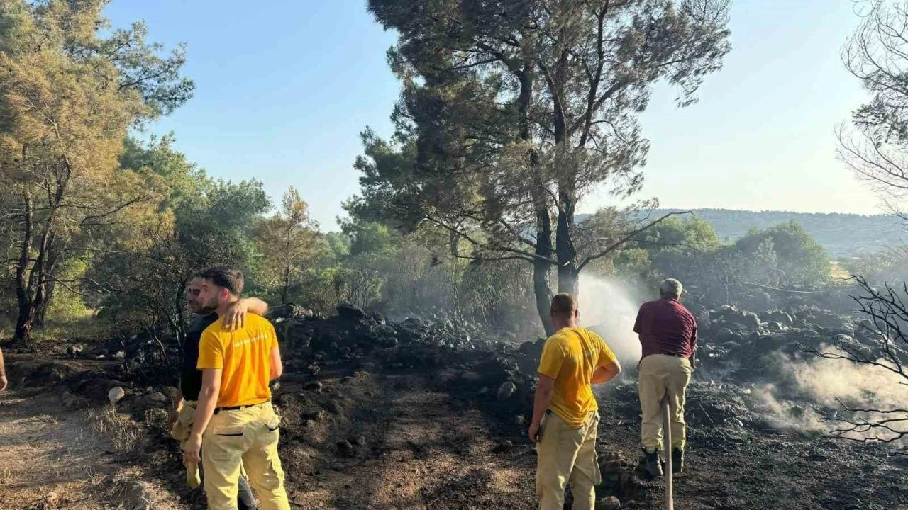Mangal yakarak orman yangınına neden olan şahıs tutuklandı
