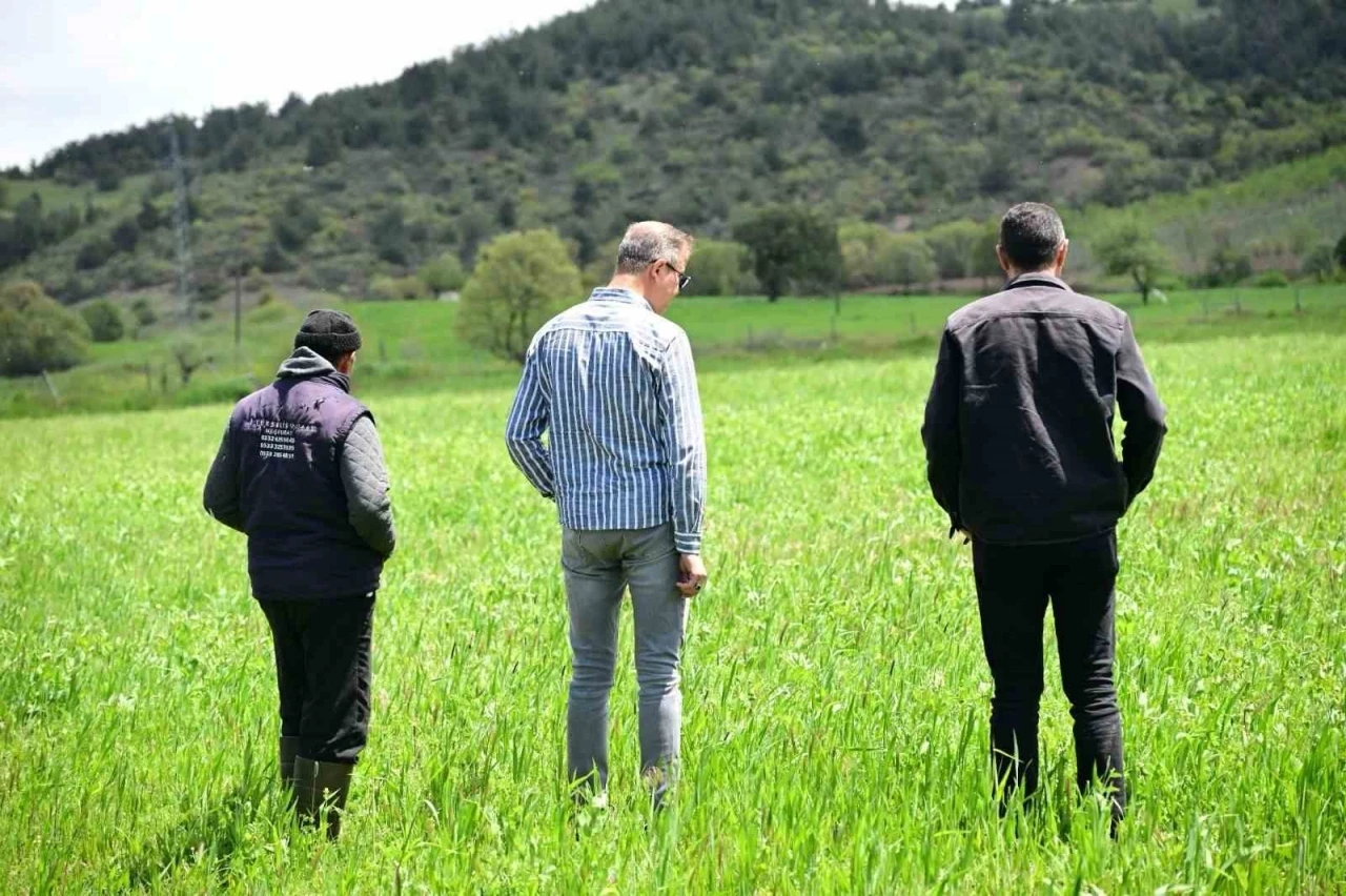 Manisa B&uuml;y&uuml;kşehir&rsquo;in toprakla buluşan tohumları yeşerdi
