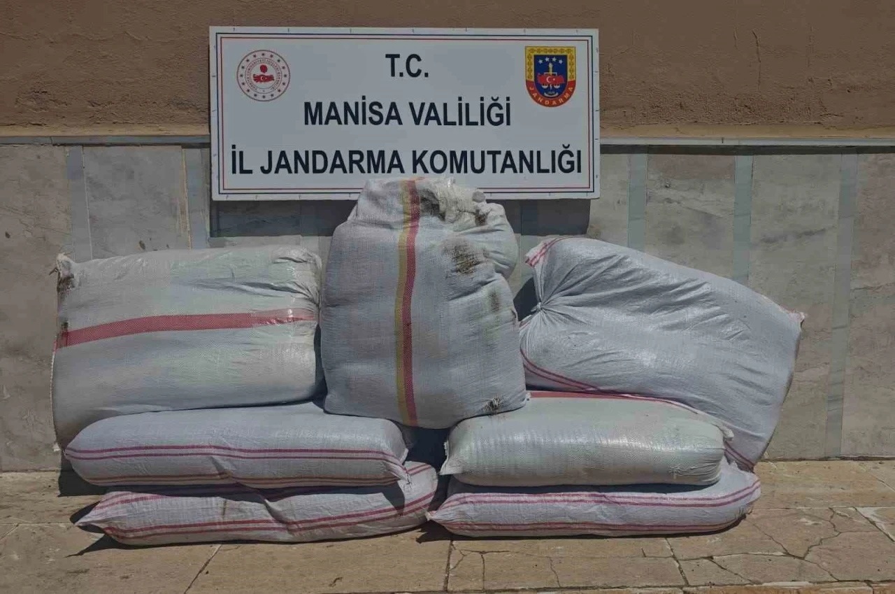 Manisa’da 350 kilo kaçak tütün ele geçirildi
