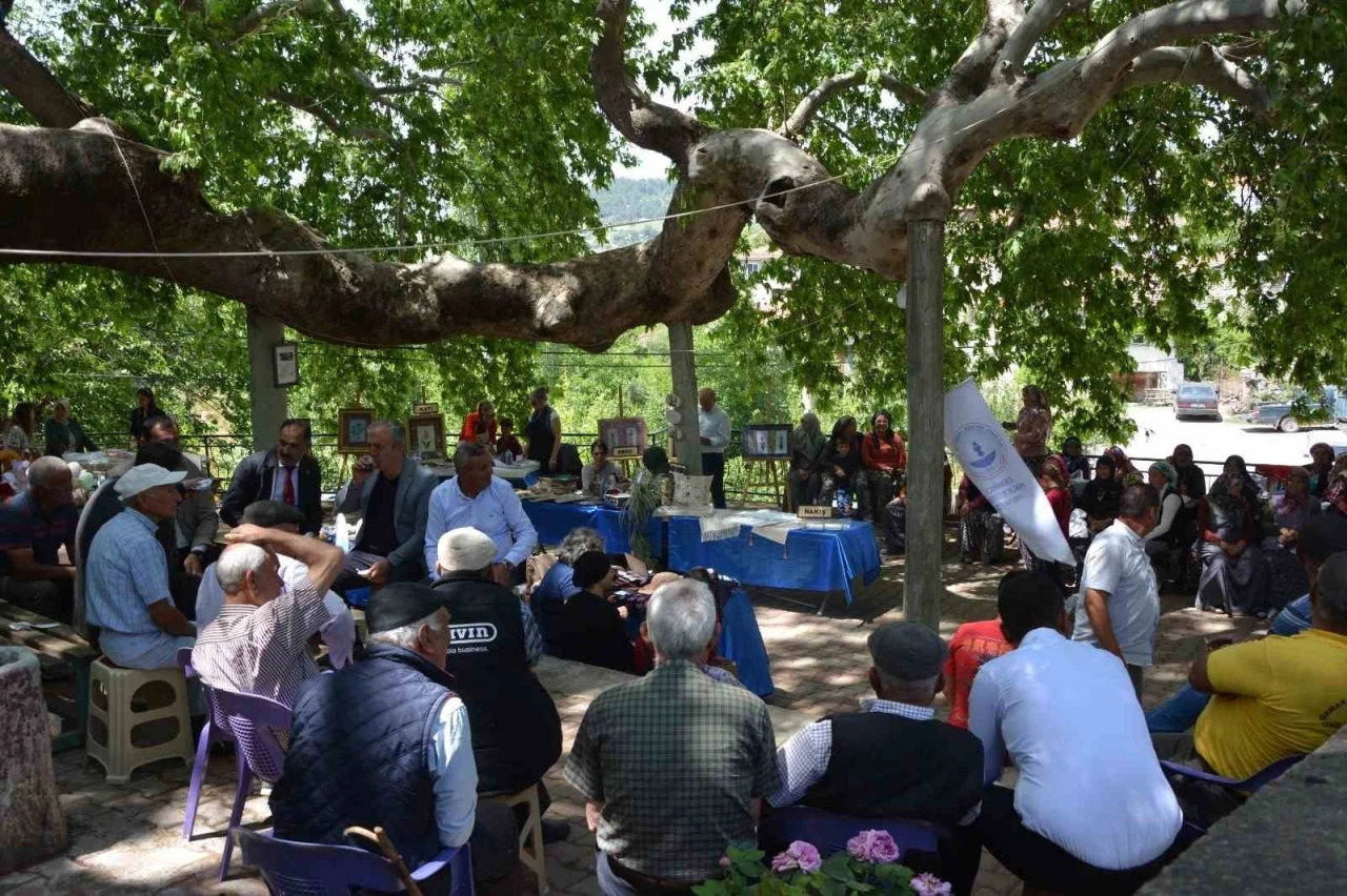 Manisa’da iki bin yıllık tarihi çınarın gölgesinde eserlerini sergilediler

