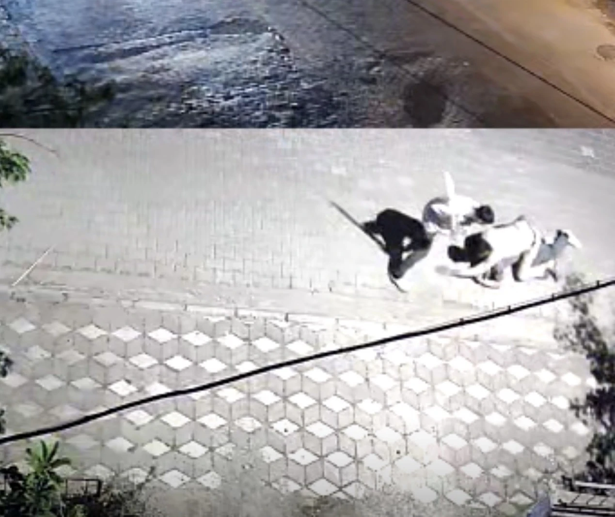 Manisa&rsquo;da kız meselesi kavgası: 6 yerinden bı&ccedil;aklandı
