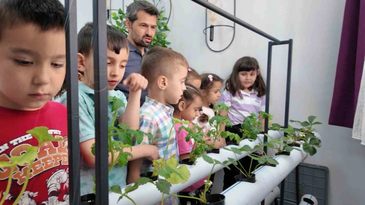 Manisalı minik çiftçiler topraksız tarımla üretim yapıyor
