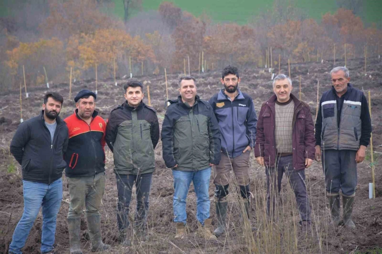 Manyas&rsquo;ta orman k&ouml;yl&uuml;s&uuml;ne gelir getirici ağa&ccedil;landırma
