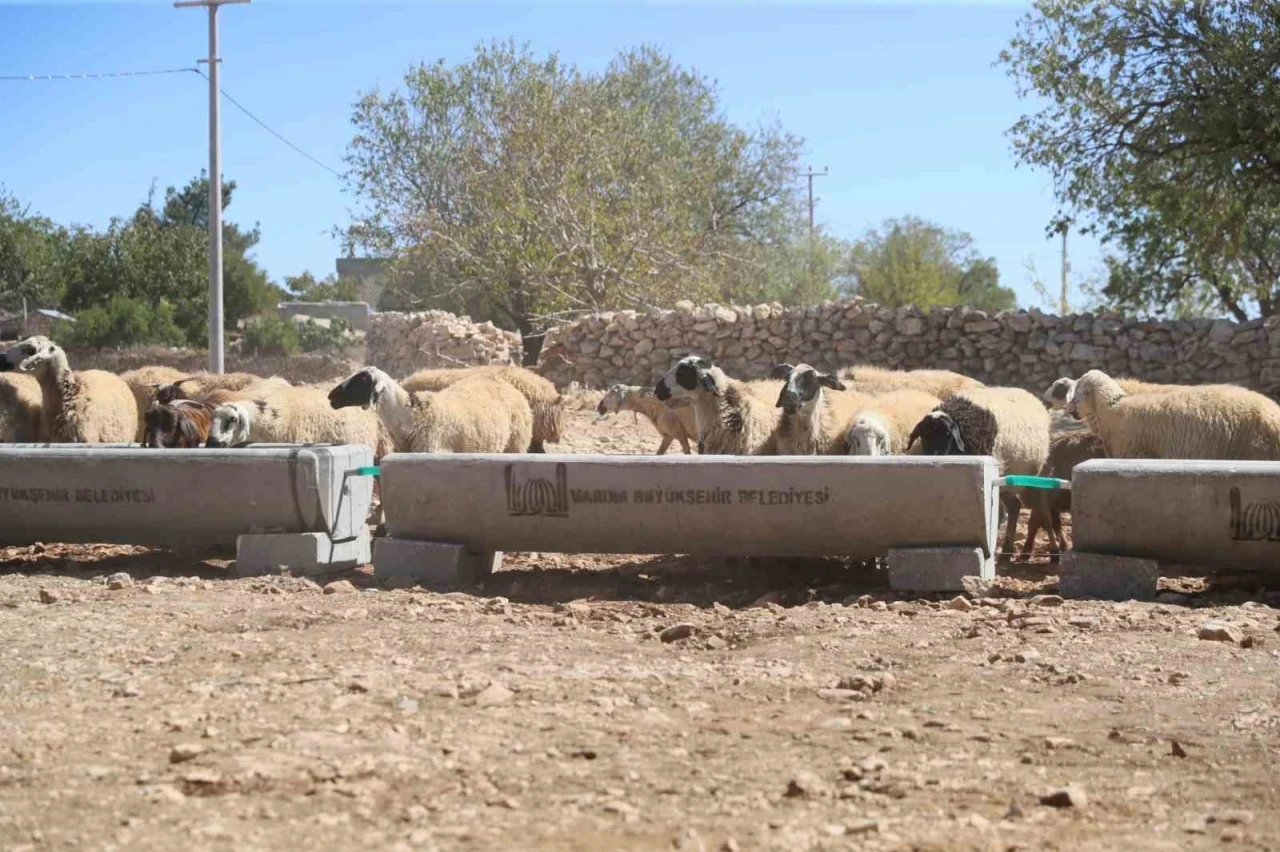 Mardin Büyükşehir Belediyesi 5 ilçede 330 adet sıvat dağıttı
