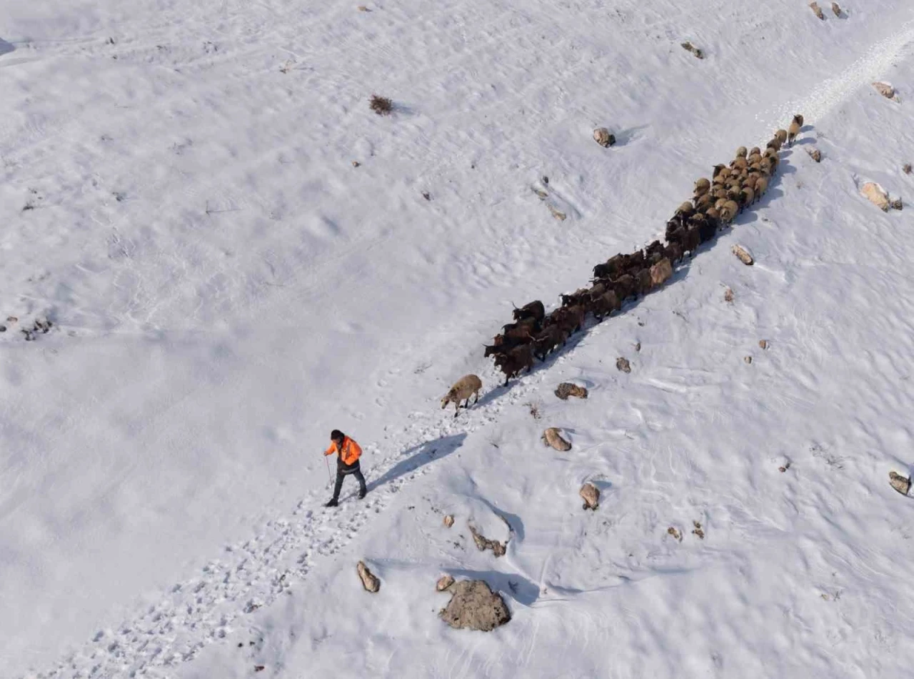 Mardin&rsquo;de besicilerin zorlu &rsquo;kar&rsquo; mesaisi: S&uuml;r&uuml;ler beyaz &ouml;rt&uuml;de yol alıyor
