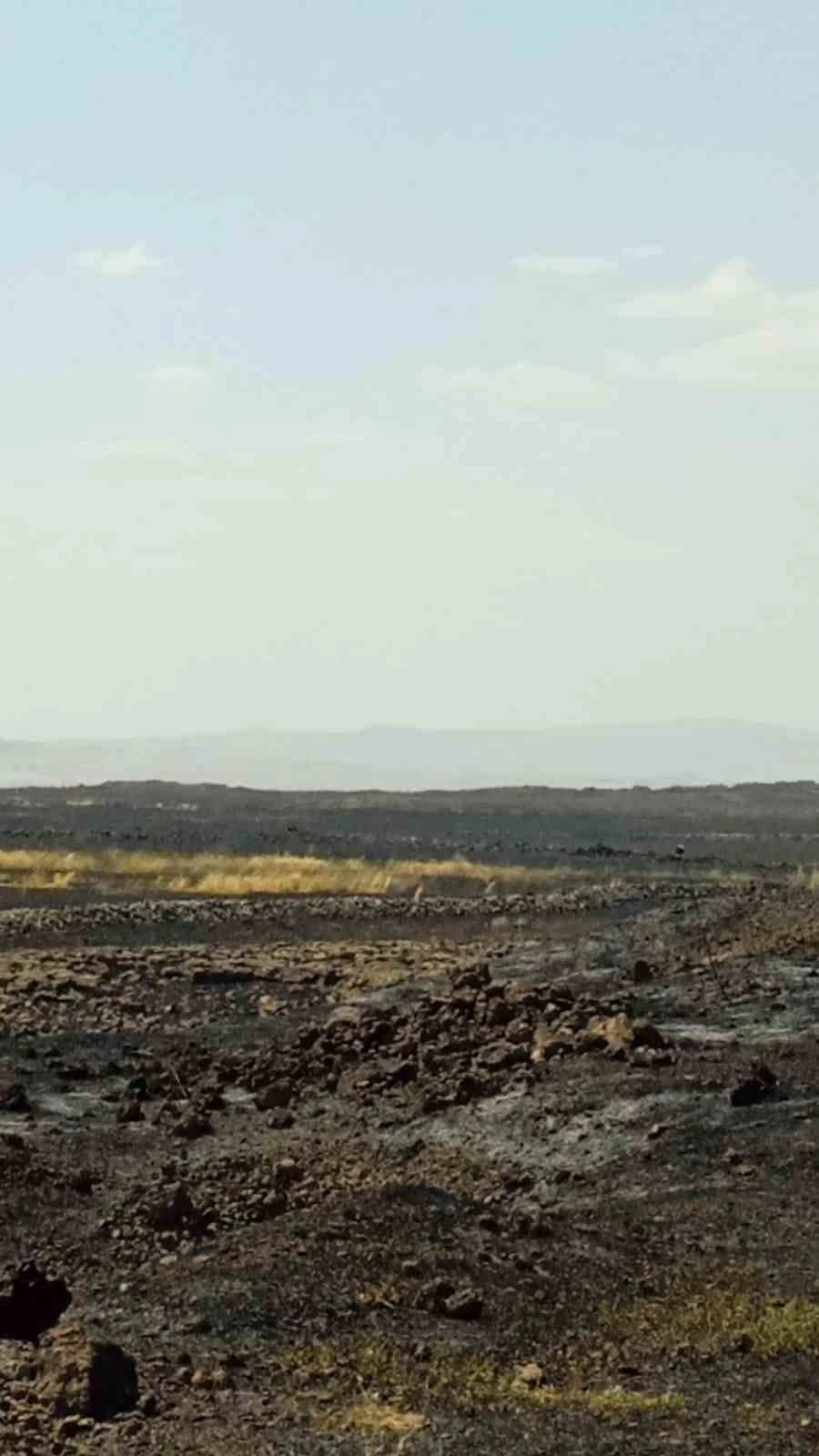 Mardin&rsquo;de &ccedil;ıkan anız yangını s&ouml;nd&uuml;r&uuml;ld&uuml;
