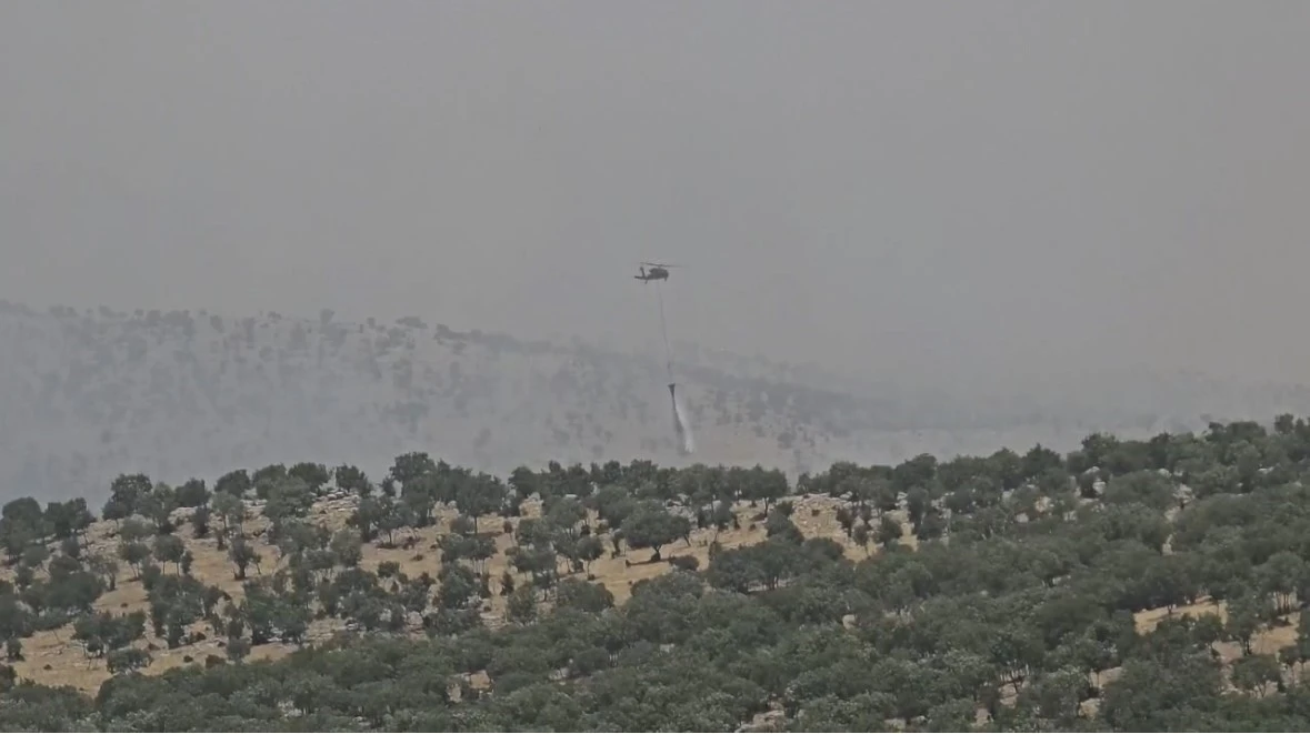 Mardin’de çıkan orman yangını kontrol altına alındı
