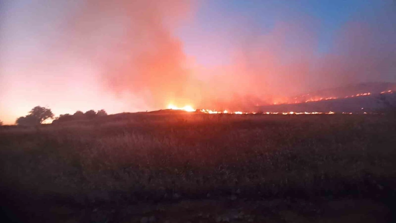 Mardin’de dağlık alanda çıkan yangın söndürüldü
