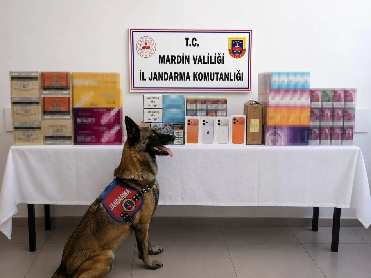 Mardin&rsquo;de ka&ccedil;ak t&uuml;t&uuml;n operasyonunda 2 g&ouml;zaltı
