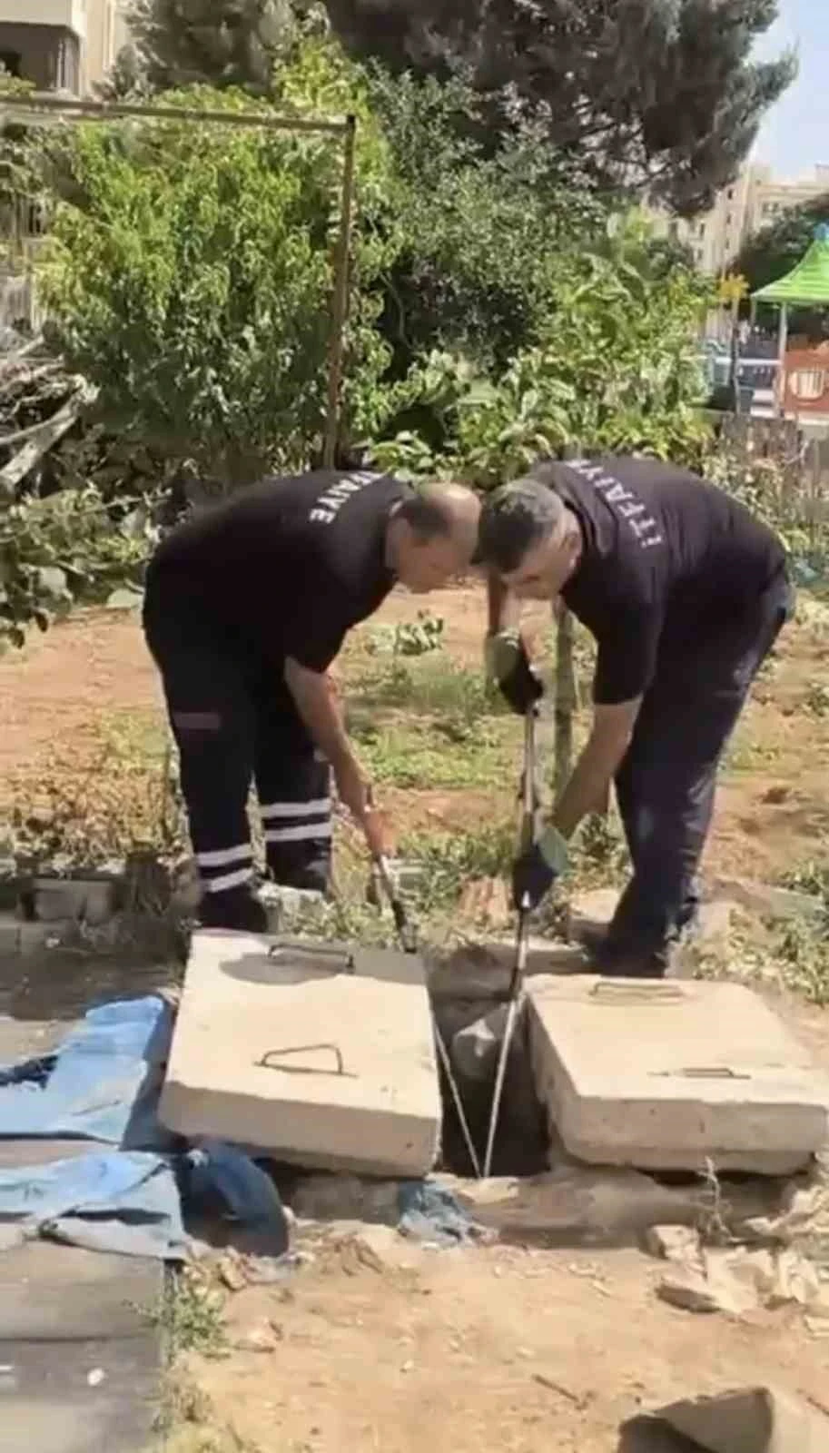 Mardin&rsquo;de kuyuda g&ouml;r&uuml;len yılan doğaya bırakıldı
