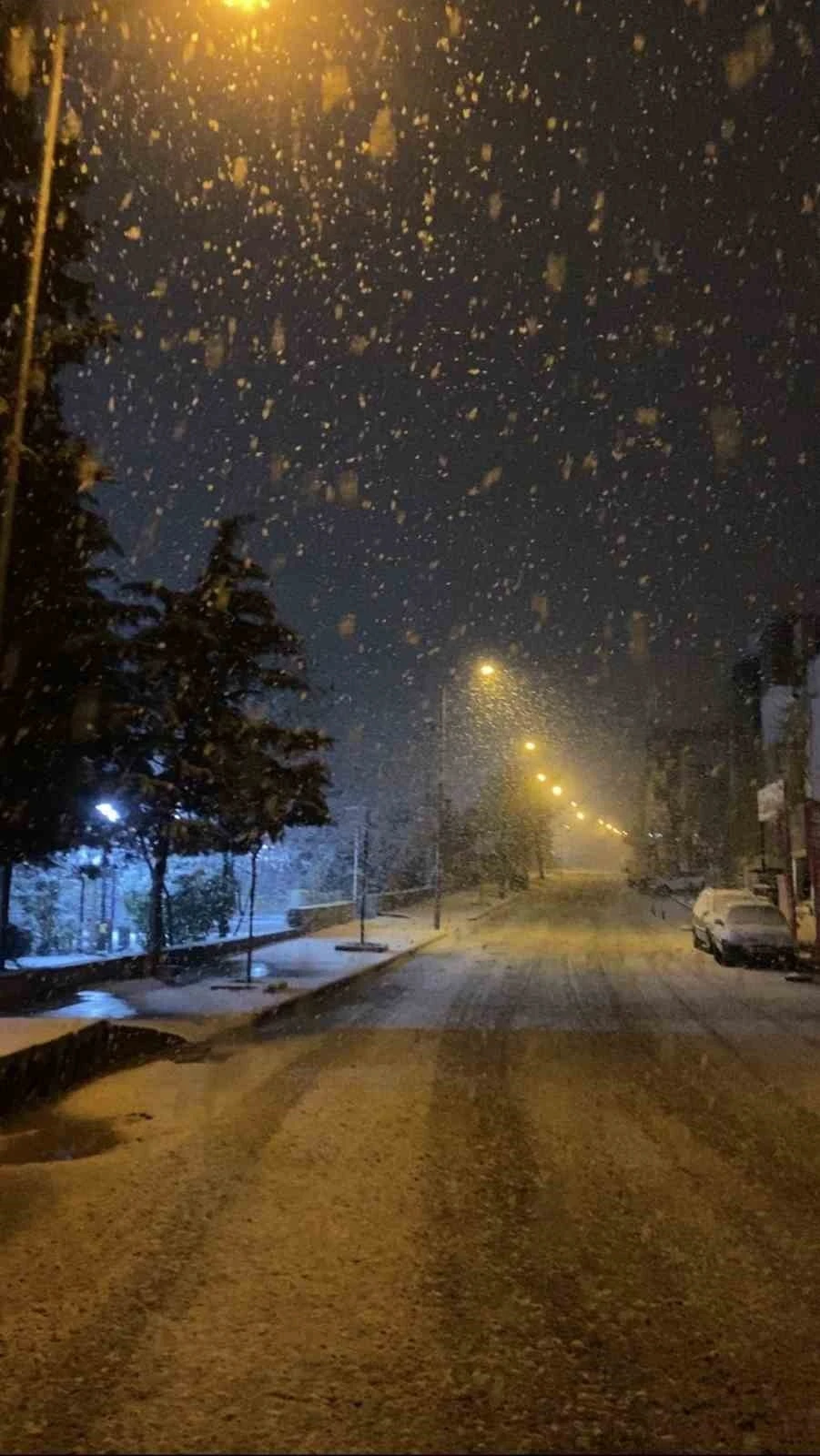 Mardin&rsquo;de mevsimin ilk karı yağdı
